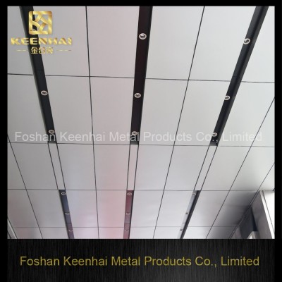 Flat Aluminum Corridor Hook on Ceiling for Sale (KH-MC-P4)